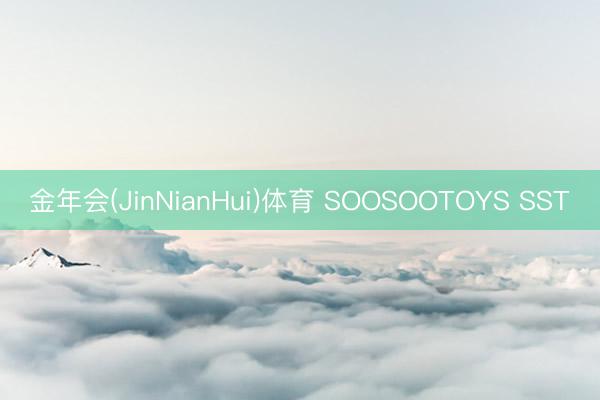 金年会(JinNianHui)体育 SOOSOOTOYS SST