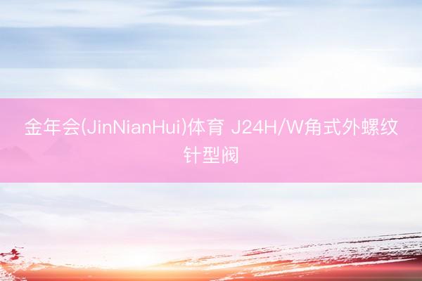 金年会(JinNianHui)体育 J24H/W角式外螺纹针型阀