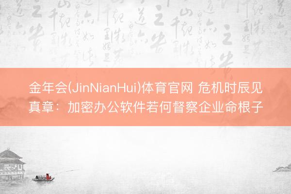 金年会(JinNianHui)体育官网 危机时辰见真章：加密办公软件若何督察企业命根子