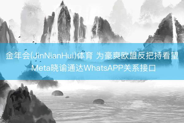金年会(JinNianHui)体育 为豪爽欧盟反把持看望 Meta晓谕通达WhatsAPP关系接口