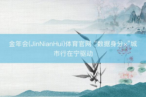 金年会(JinNianHui)体育官网 “数据身分×”城市行在宁驱动
