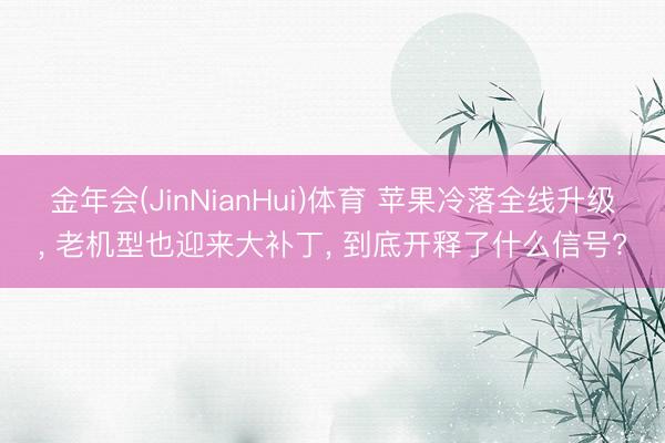 金年会(JinNianHui)体育 苹果冷落全线升级， 老机型也迎来大补丁， 到底开释了什么信号?