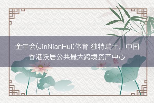 金年会(JinNianHui)体育 独特瑞士，中国香港跃居公共最大跨境资产中心