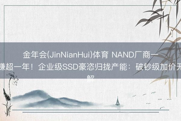 金年会(JinNianHui)体育 NAND厂商一季赚超一年！企业级SSD豪恣归拢产能：破钞级加价无解